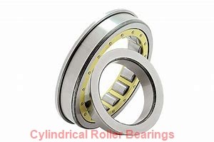 190 mm x 340 mm x 55 mm  SKF NJ238ECML cylindrical roller bearings