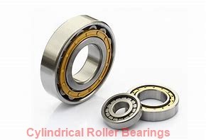 45 mm x 75 mm x 16 mm  NSK N1009RXHZTP cylindrical roller bearings
