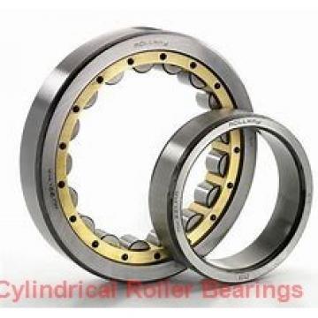120,000 mm x 215,000 mm x 76,000 mm  NTN NU3224 cylindrical roller bearings