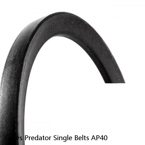 Gates Predator Single Belts AP40