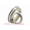 35 mm x 100 mm x 25 mm  NSK NF 407 cylindrical roller bearings