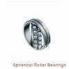 45 mm x 100 mm x 25 mm  SIGMA 20309 spherical roller bearings