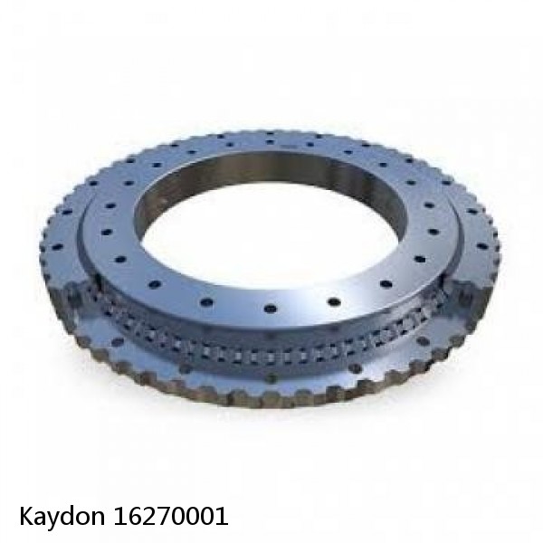 16270001 Kaydon Slewing Ring Bearings #1 small image