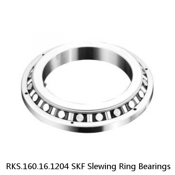 RKS.160.16.1204 SKF Slewing Ring Bearings #1 small image