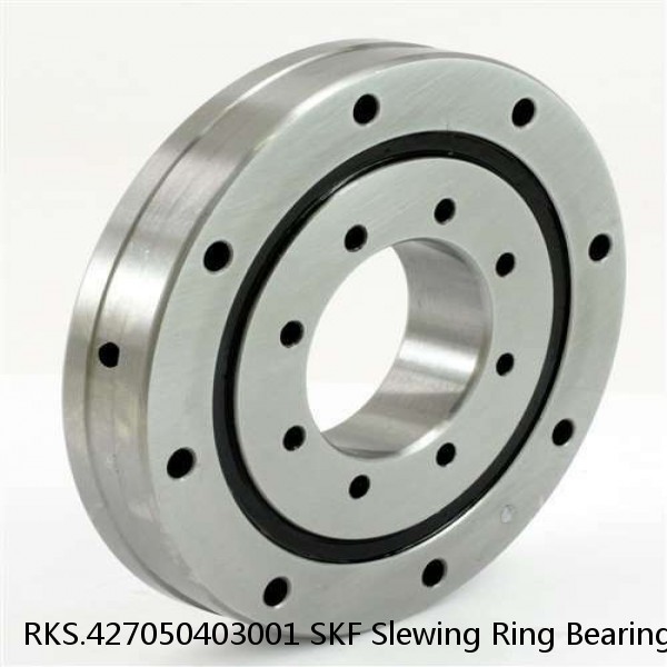 RKS.427050403001 SKF Slewing Ring Bearings