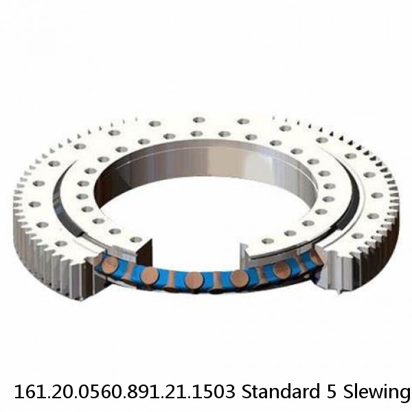 161.20.0560.891.21.1503 Standard 5 Slewing Ring Bearings #1 small image