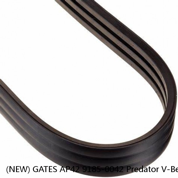 (NEW) GATES AP42 9185-0042 Predator V-Belt  #1 small image