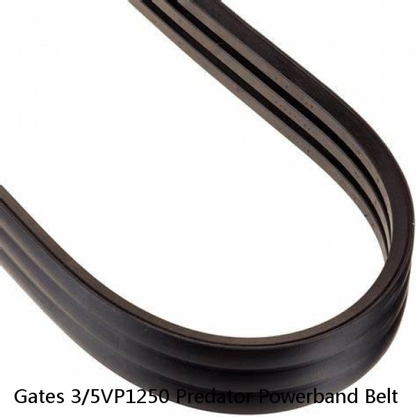 Gates 3/5VP1250 Predator Powerband Belt  #1 small image