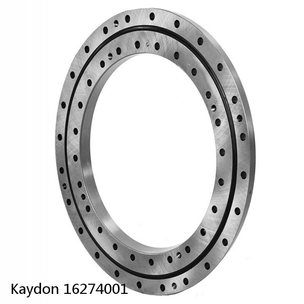 16274001 Kaydon Slewing Ring Bearings #1 image
