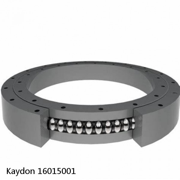 16015001 Kaydon Slewing Ring Bearings #1 image
