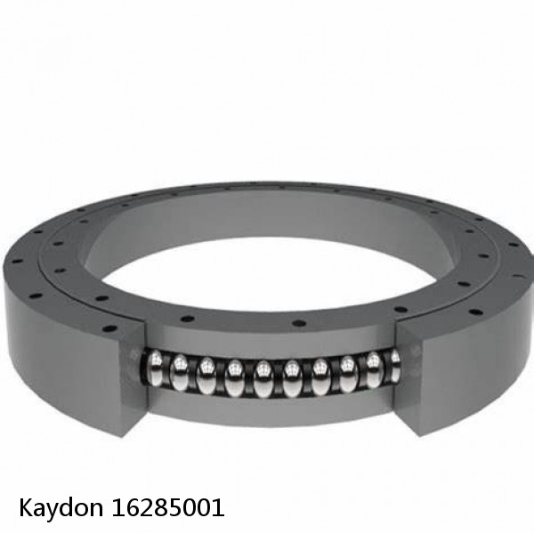 16285001 Kaydon Slewing Ring Bearings #1 image