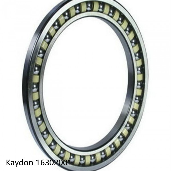 16302001 Kaydon Slewing Ring Bearings #1 image