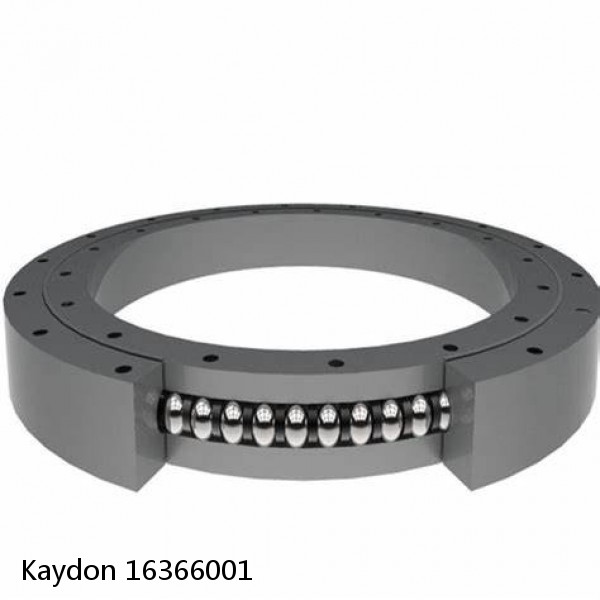 16366001 Kaydon Slewing Ring Bearings #1 image