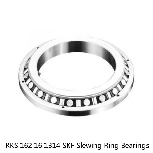 RKS.162.16.1314 SKF Slewing Ring Bearings #1 image