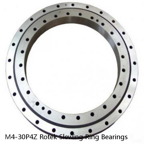 M4-30P4Z Rotek Slewing Ring Bearings #1 image