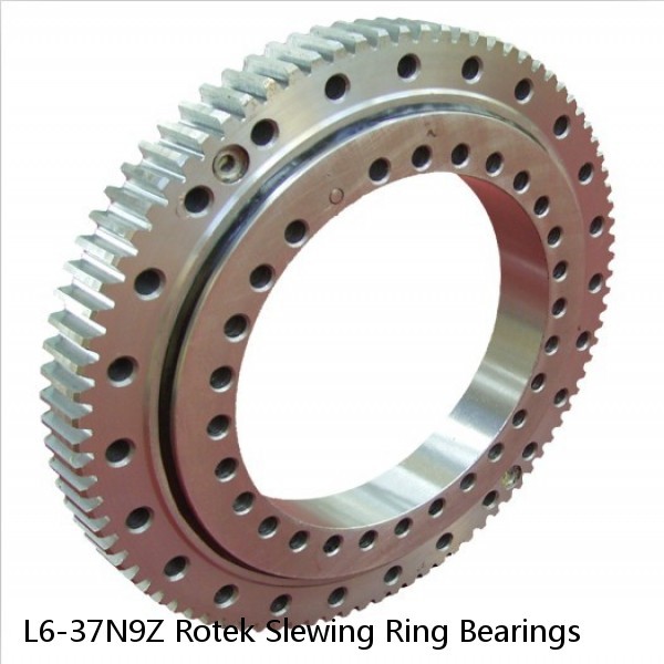 L6-37N9Z Rotek Slewing Ring Bearings #1 image