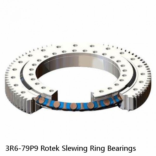 3R6-79P9 Rotek Slewing Ring Bearings #1 image