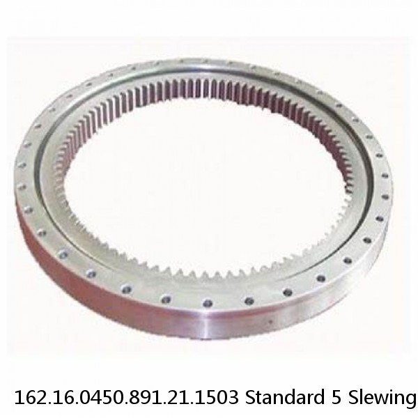 162.16.0450.891.21.1503 Standard 5 Slewing Ring Bearings #1 image