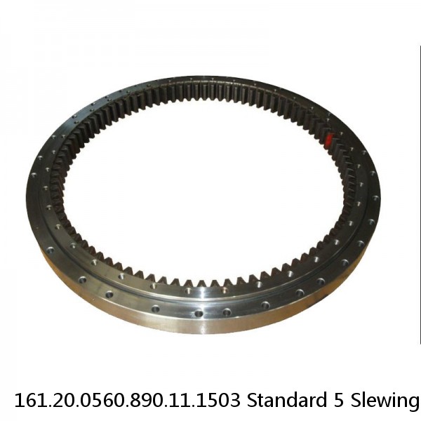 161.20.0560.890.11.1503 Standard 5 Slewing Ring Bearings #1 image