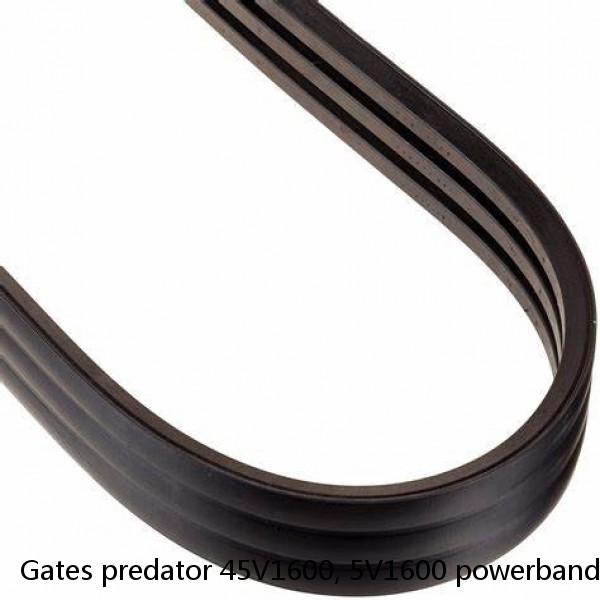 Gates predator 45V1600, 5V1600 powerband 4 rib belt #1 image