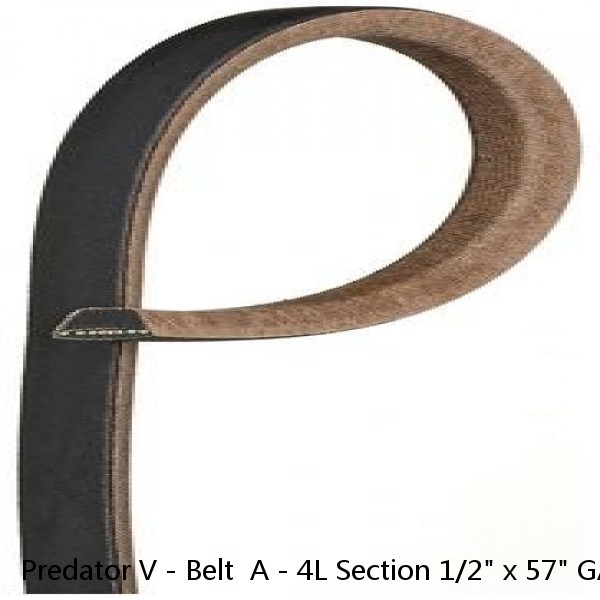 Predator V - Belt  A - 4L Section 1/2" x 57" GATES 4L570 / AP55 #1 image